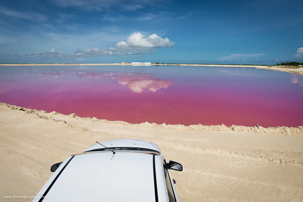 Río Lagartos Shore drive