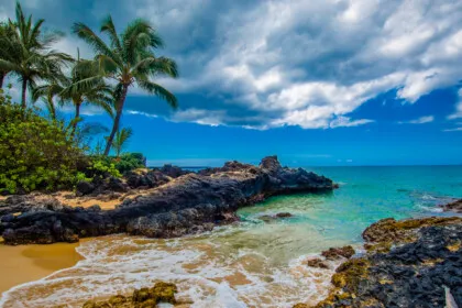MAUI Cover