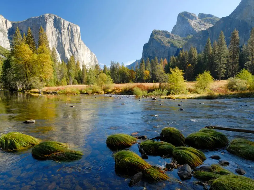 Yosemite Attraction