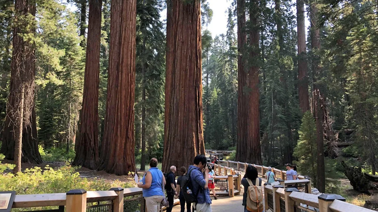 Yosemite Mariposa