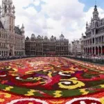 Brussels Cover