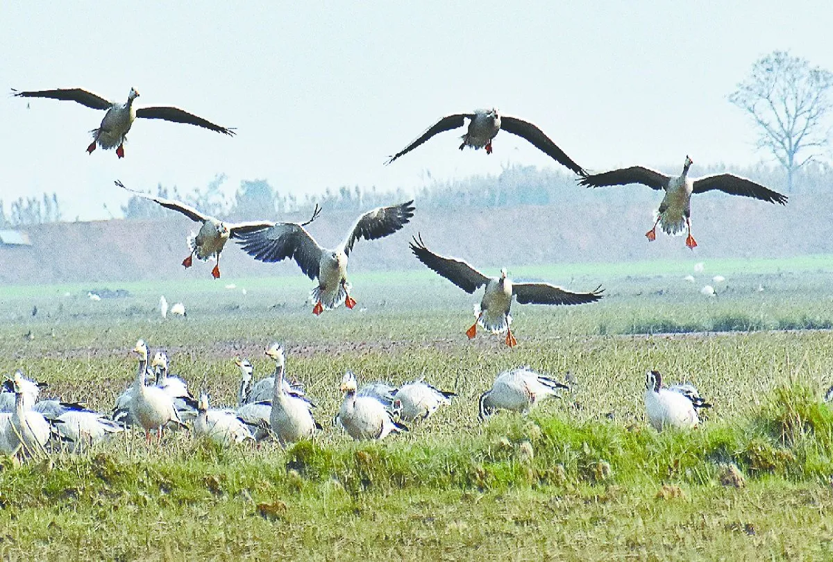 Neel dhara pakshi vihar
