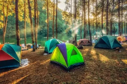 Jungle Camping