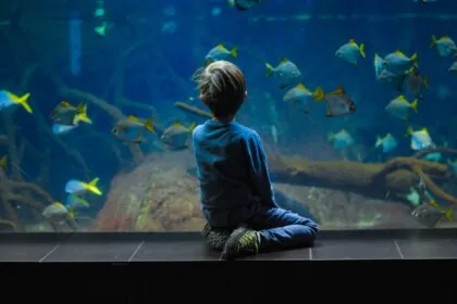 Featured Largest & Beautiful Aquariums of world