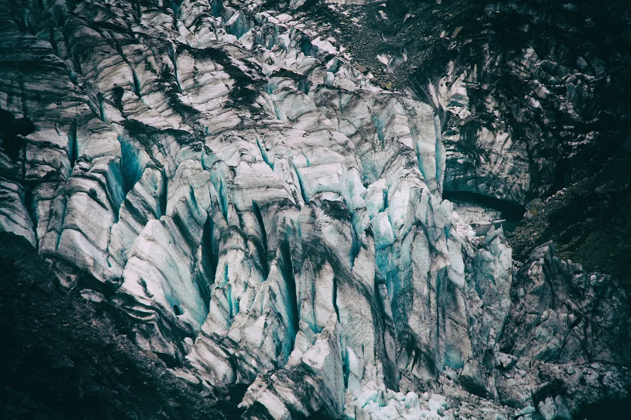 Fox Glacier New Zealand