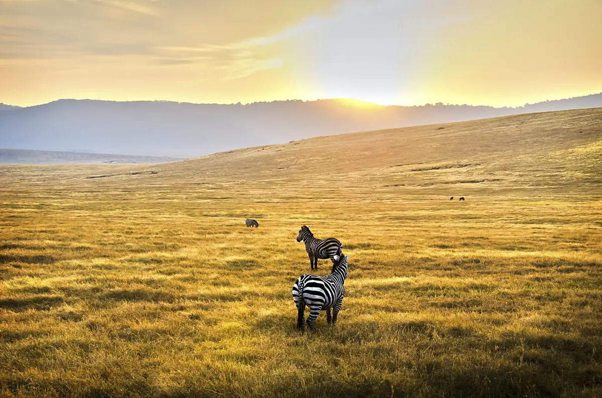 Serengeti National Park