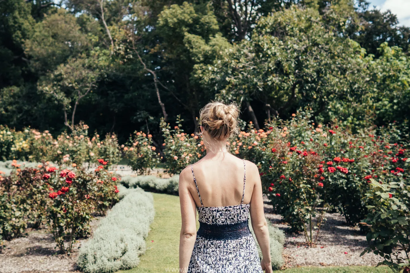 Cape Wineries