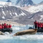 Franz Josef Land Arctic Cruise Russia