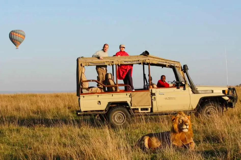 Kenya wildlife Safari