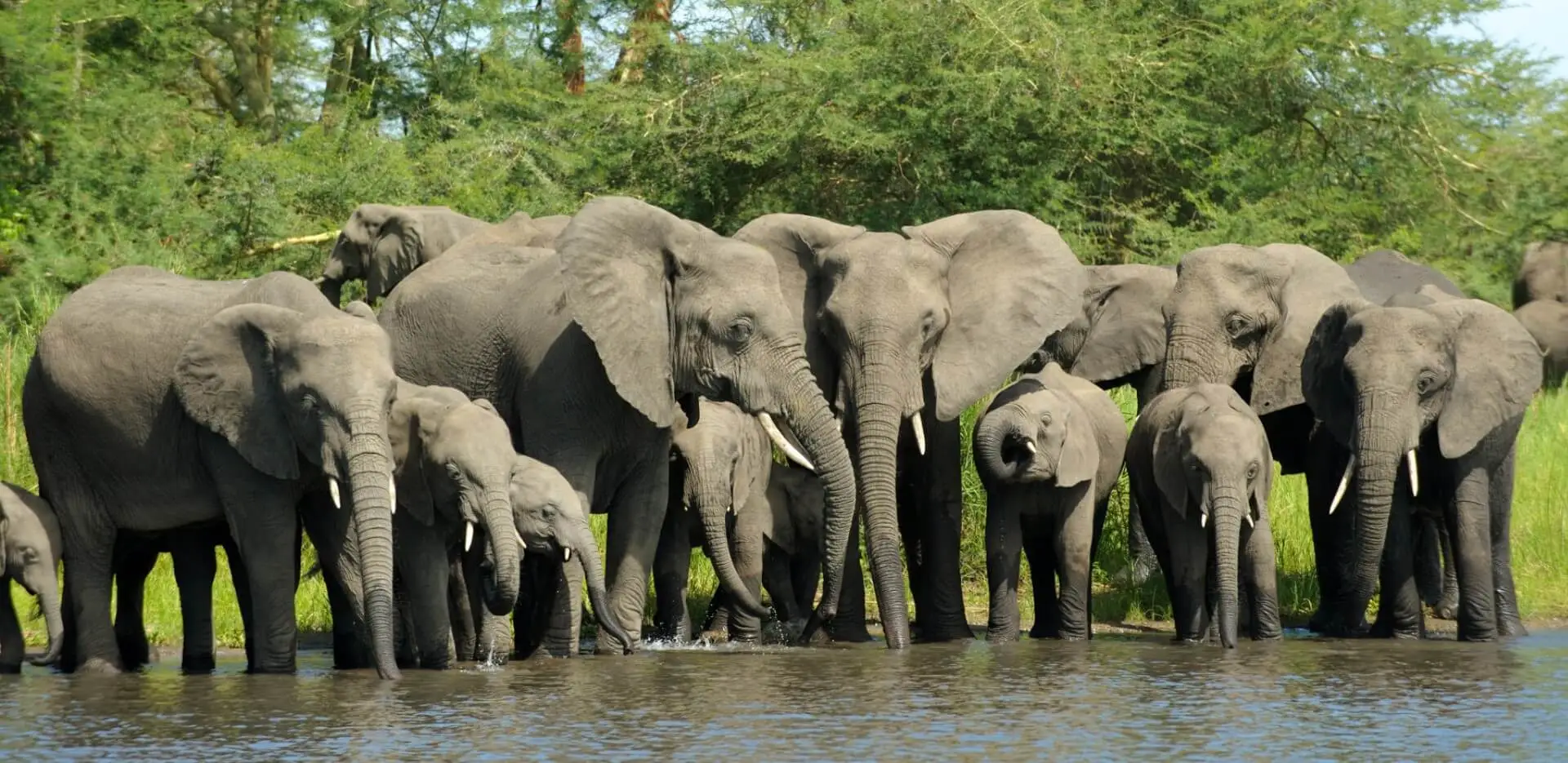 Pendjari-National-Park-Benin