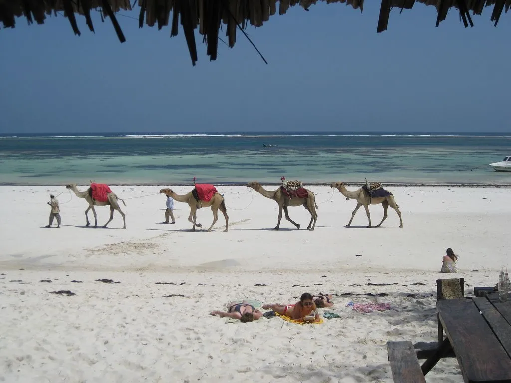 Travel in Mombasa