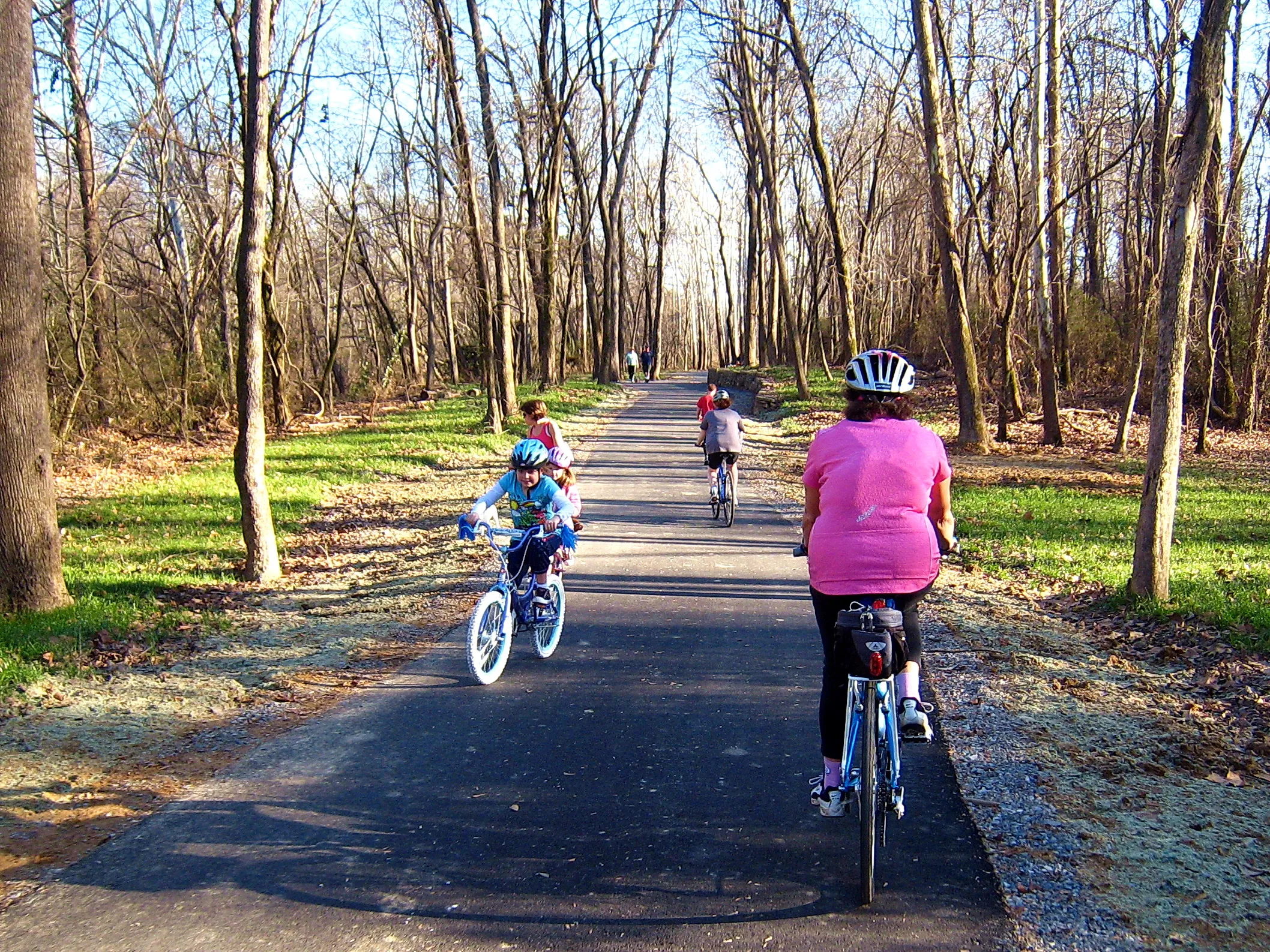 Wolf River Trail