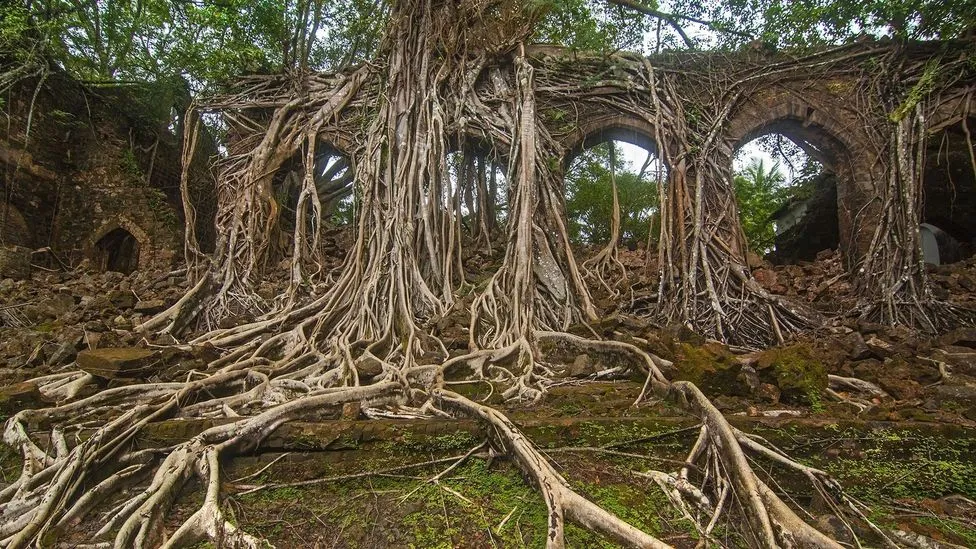 Ross Island